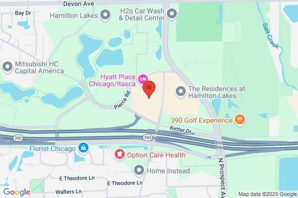 Wyeth Ayerst Pharmaceutical