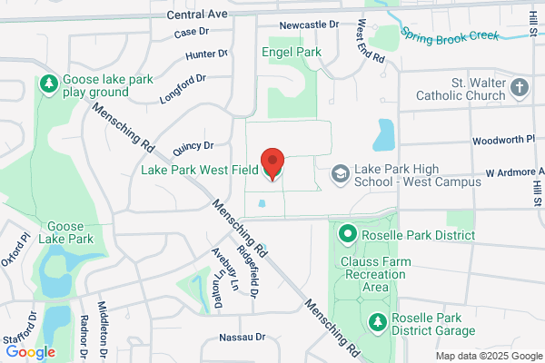 Ballpark At Roselle