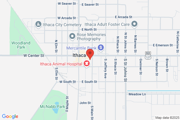 Smile Ithaca