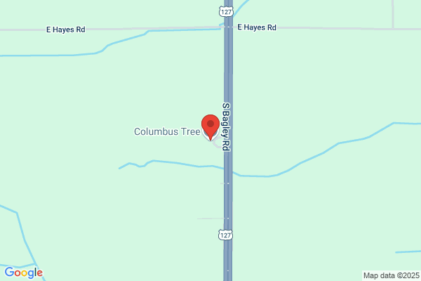 Columbus Tree