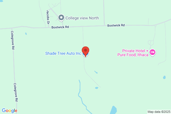 Shade Tree Auto