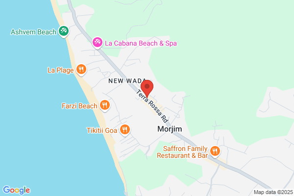 Curves