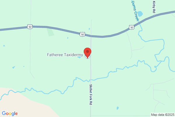 Fatheree Taxidermy