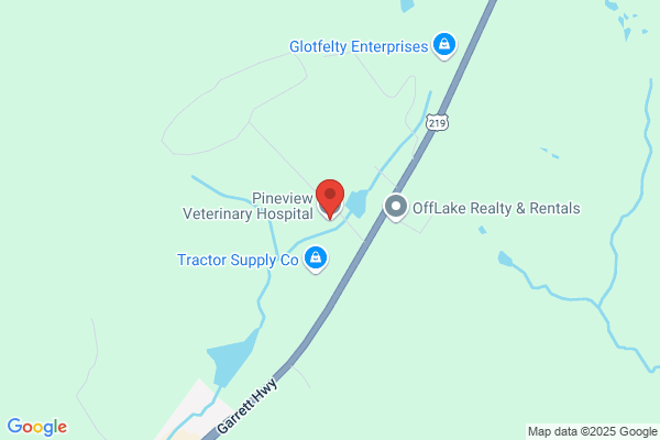 Pineview; Animal Hospital