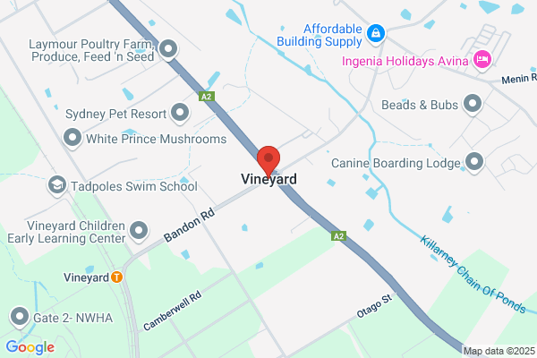 Vineyard the