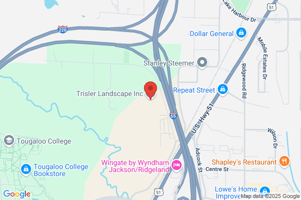 Trisler Landscape