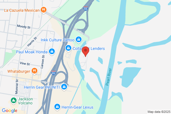 Landmark Data Systems Inc