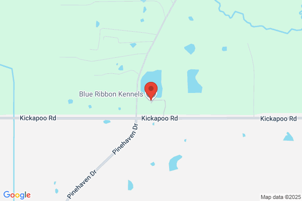 Blue Ribbon Kennels