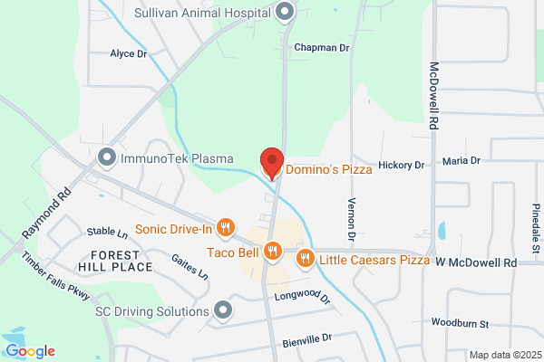 Domino's Pizza