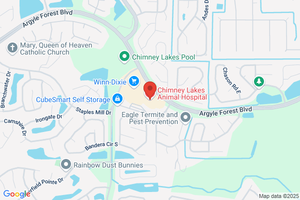 Chimney Lakes Animal Hospital