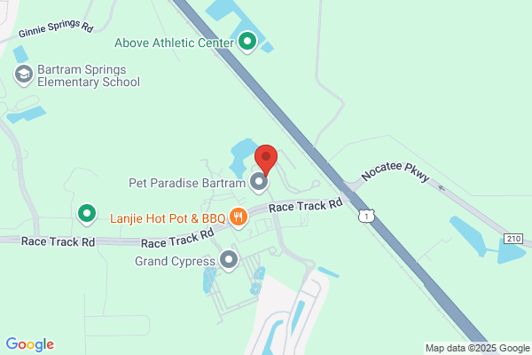 Reserve Bartram Springs