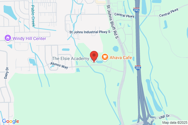 The Elsie Academy