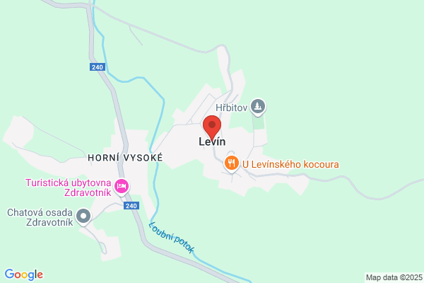 Levin, H Ronald