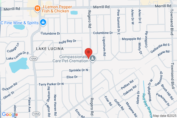Delucia J Wayne DDS PA