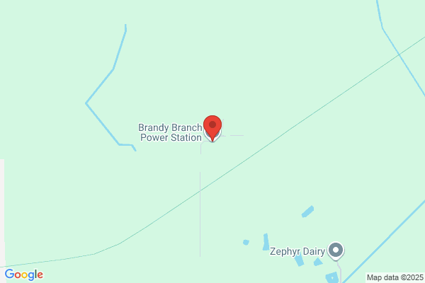 Brandy Branch Generating Station