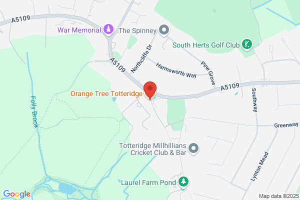 Orange Tree the