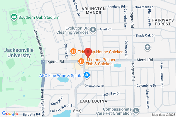 Action Transmission Specialists