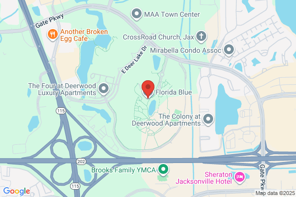 Blue Cross and Blue Shield of Florida Inc, Florida Insurance Inc