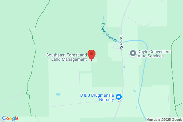Century Land Services