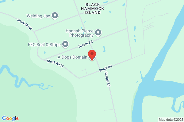 A Dogs Domain