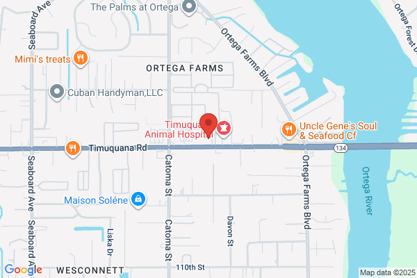 Exclusive Properties of Jacksonville