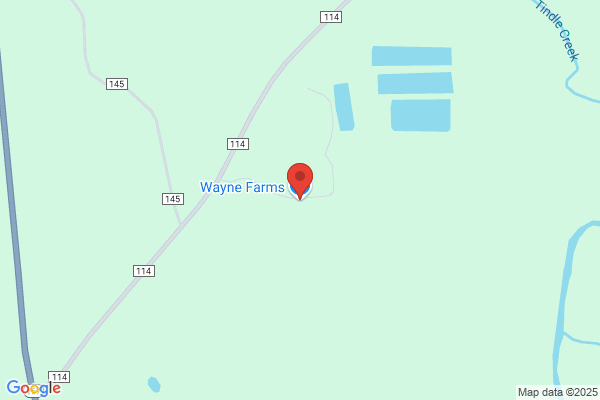 Wayne Farms LLC