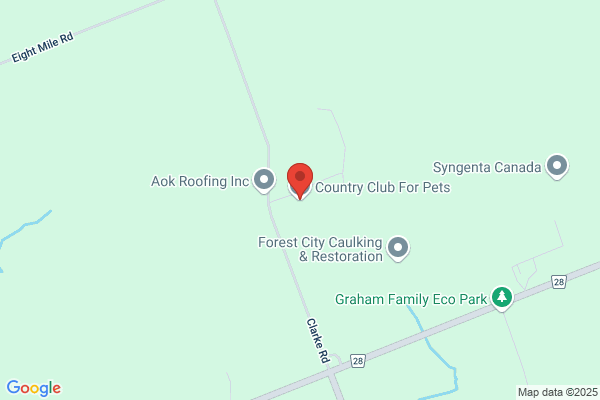Valley Country Club For Pets