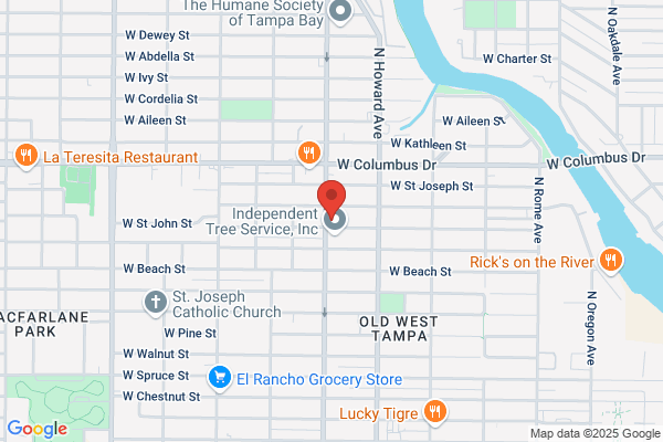 Alfonfo Auto Repair