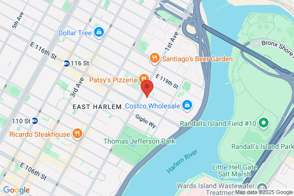GREEN EYE CARE HARLEM