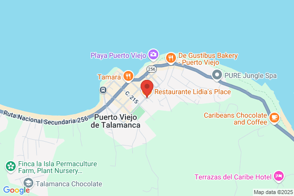Lidia's Place