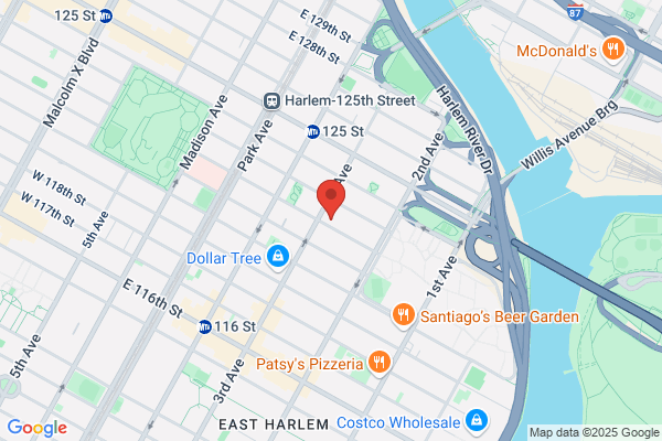 East Harlem Committee On Aging Project Life