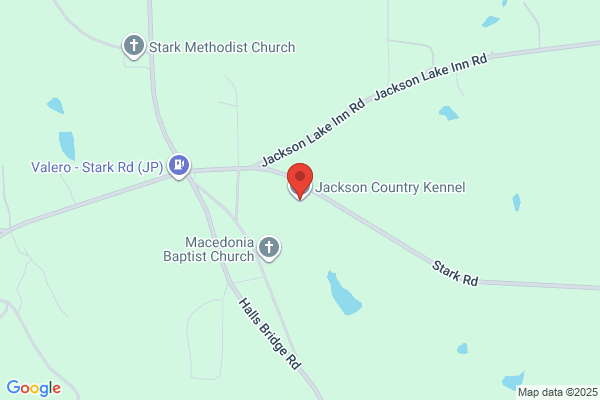 Jackson Lake Pet Grooming