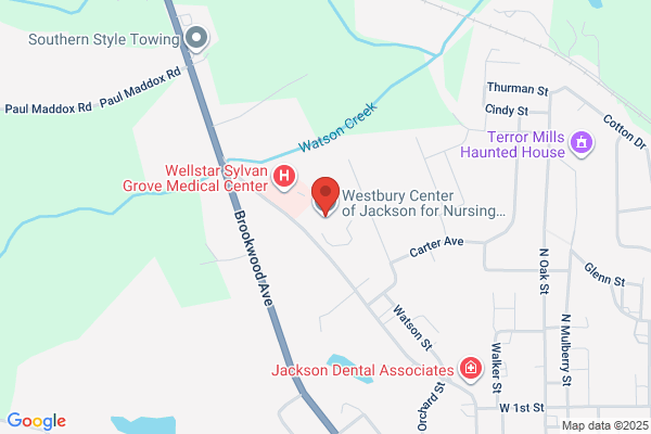 Westbury Medical Care Home