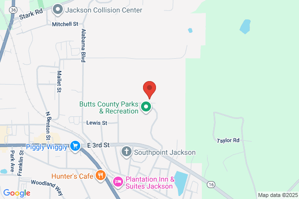 Butts County Alcohol or Drug Risk Reduction Program