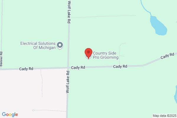 Country Side Professional Grooming