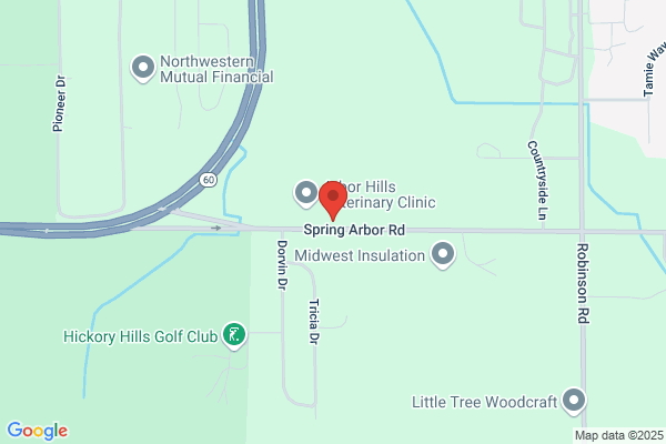 Willis Information Technologies Inc