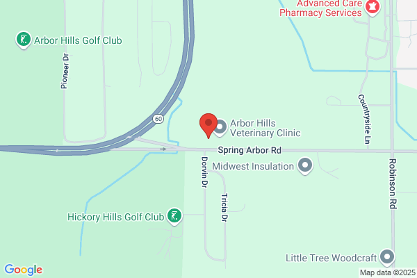 The Dental Experience/Spring Arbor Dental