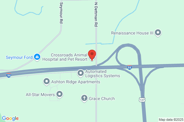 Crossroads Animal Hospital