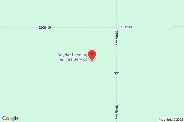 Snyder Logging & Tree Service