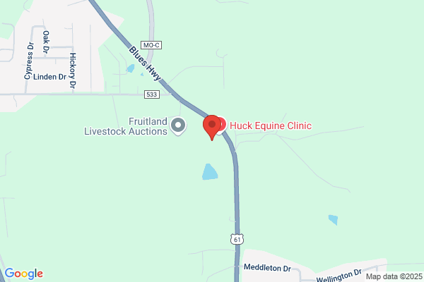 Huck Linus F DVM Inc
