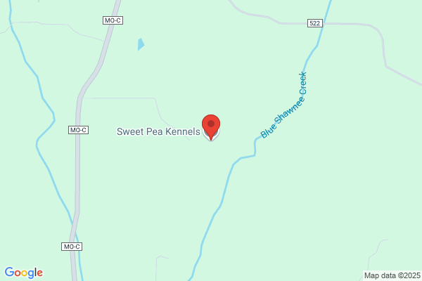 Sweet Pea Kennels