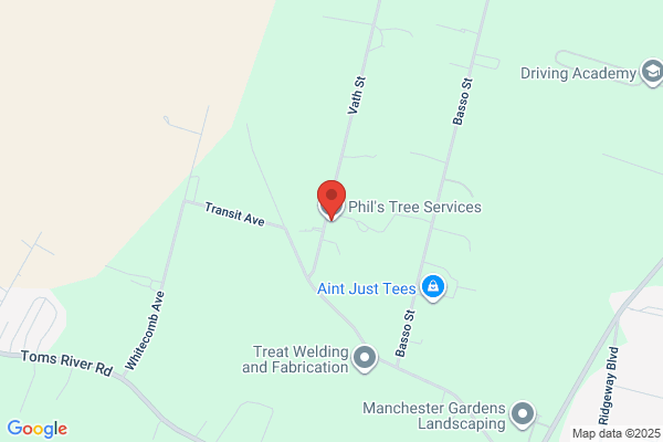 Phil's Tree Service