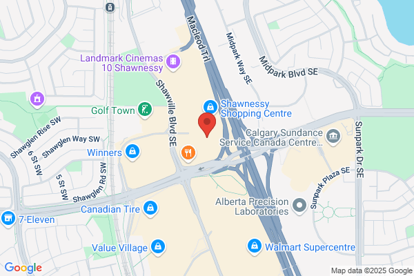 Action Security Services Inc