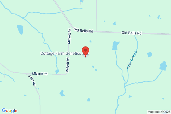 Cottage Farm Genetics