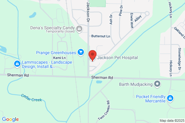 Jackson Pet Hospital