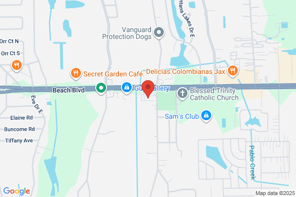 AutoZone Auto Parts