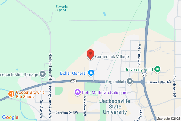 Gamecock Village