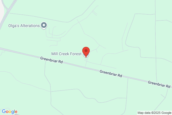 Mill Creek Forest