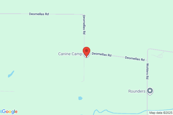 Canine Camp