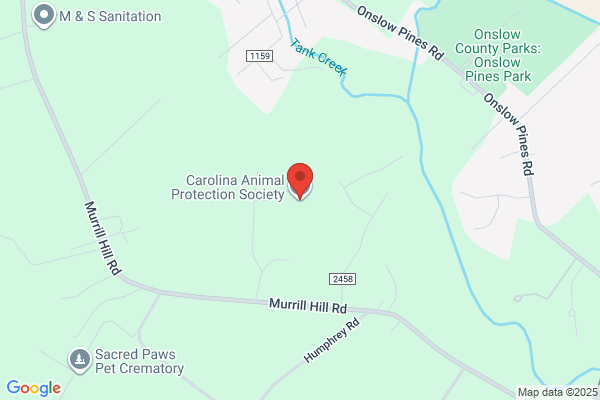 Carolina Animal Protection Society